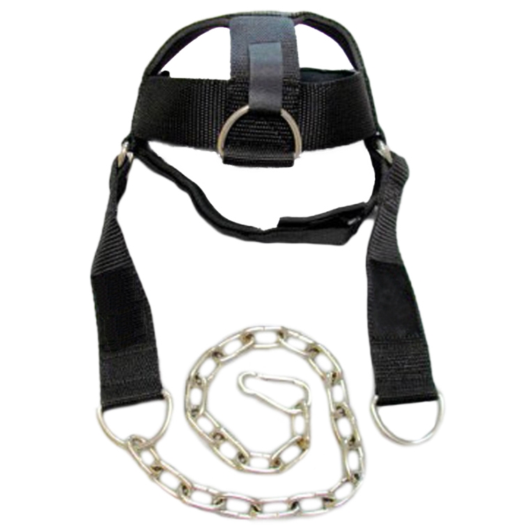 Head Harness